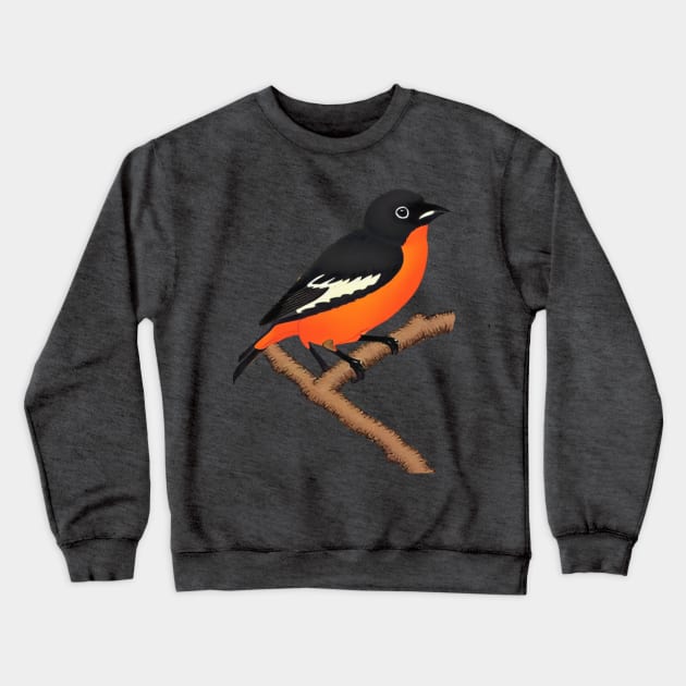 Vintage Orchard Oriole Bird Pumpkin Halloween Fall in Baltimore Crewneck Sweatshirt by DaysuCollege